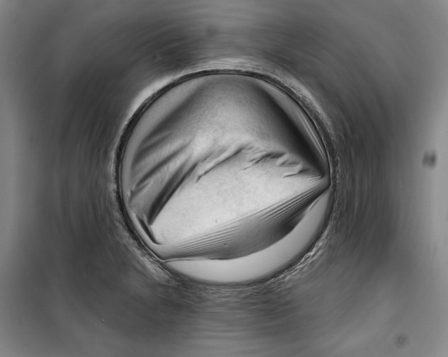 X0000099451230200806061058