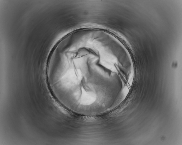 X0000099451231200806061058