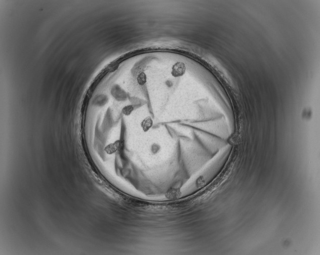 X0000099451232200806061058