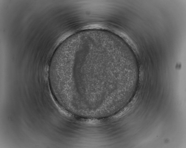 X0000099451233200806061058