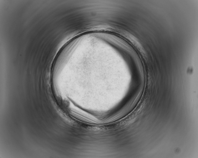 X0000099451234200806061058