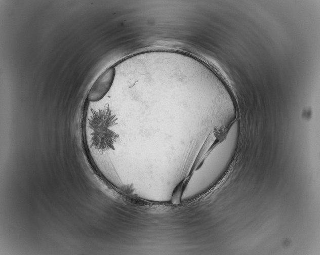 X0000099451235200806061058