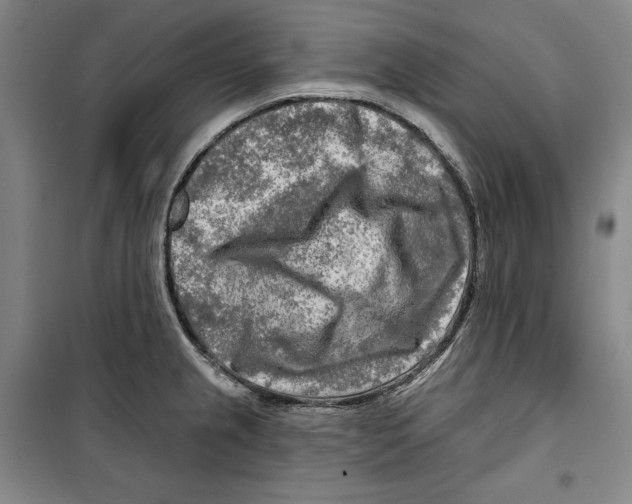 X0000099451237200806061058