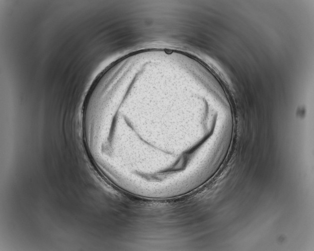 X0000099451238200806061058