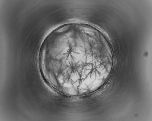 X0000099451239200806061058