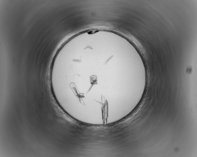 X0000099451240200806061058