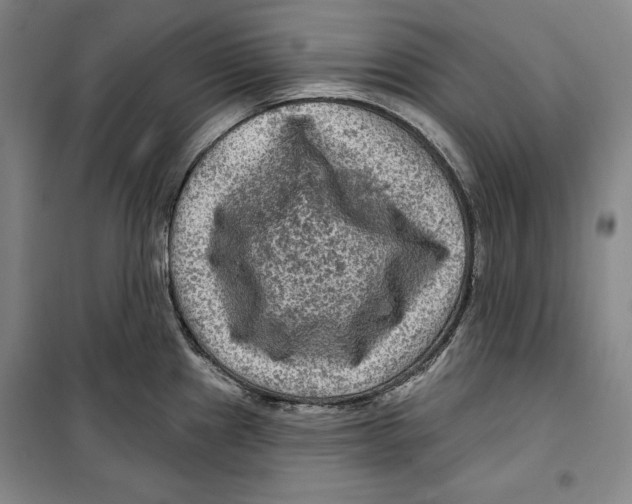 X0000099451241200806061058