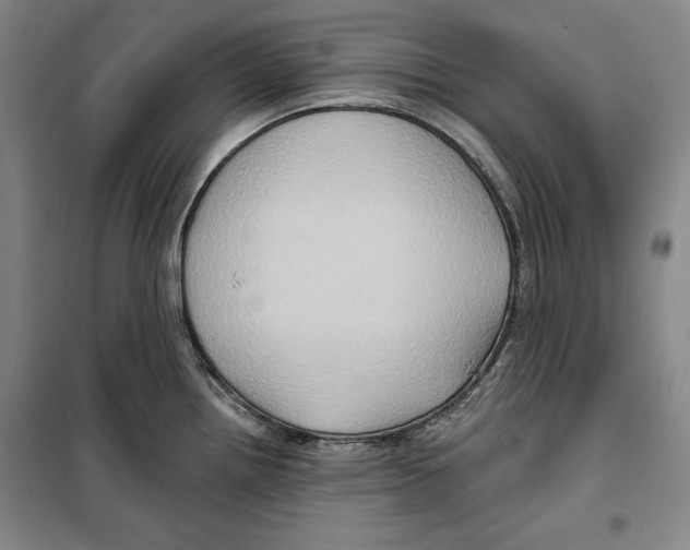 X0000099451242200806061058