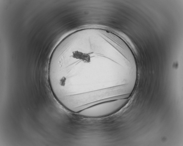 X0000099451244200806061058