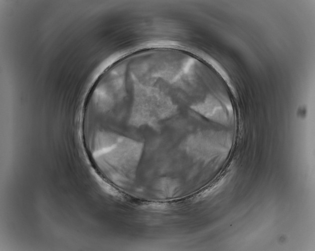 X0000099451245200806061058