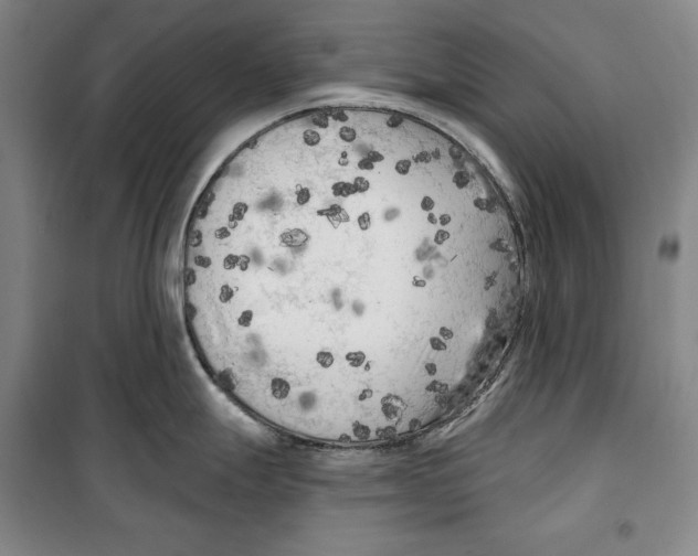 X0000099451247200806061058