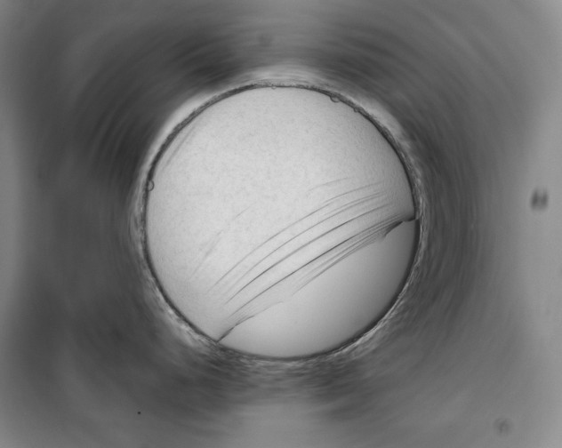 X0000099451248200806061058