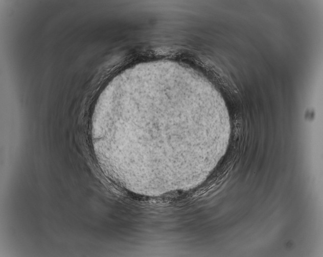 X0000099451249200806061058