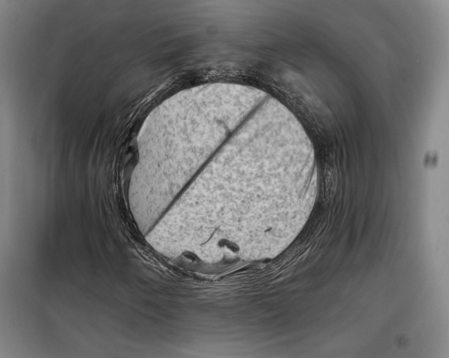 X0000099451250200806061058