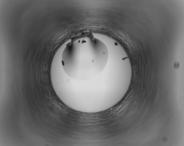 X0000099451252200806061058