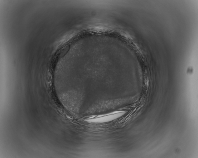 X0000099451253200806061058