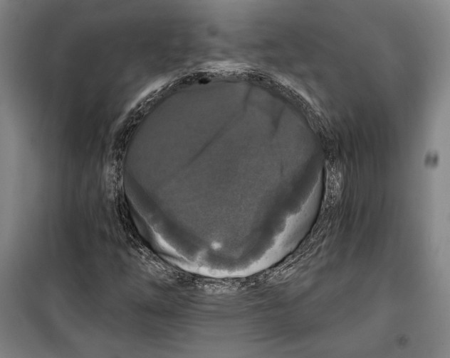 X0000099451254200806061058