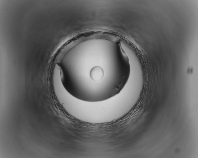 X0000099451256200806061057