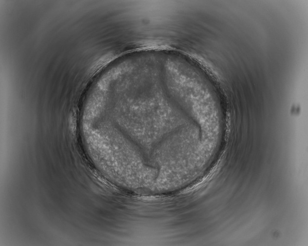 X0000099451257200806061057