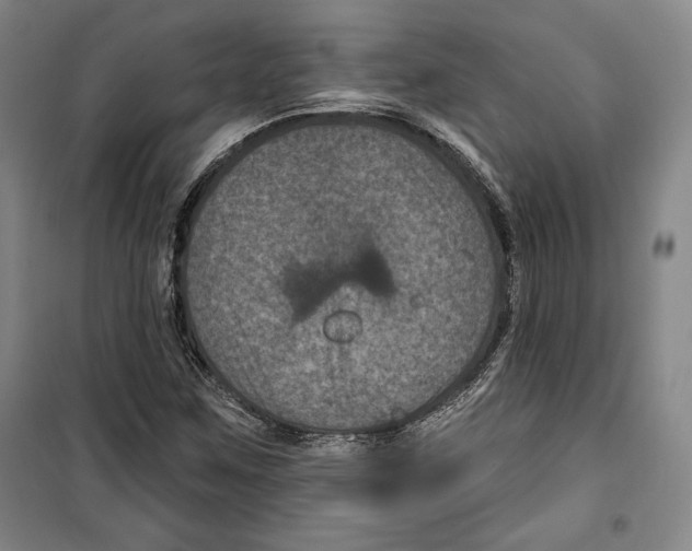 X0000099451259200806061057