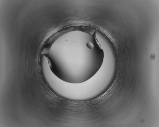 X0000099451261200806061057