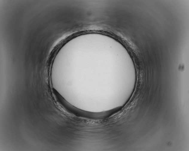 X0000099451262200806061057