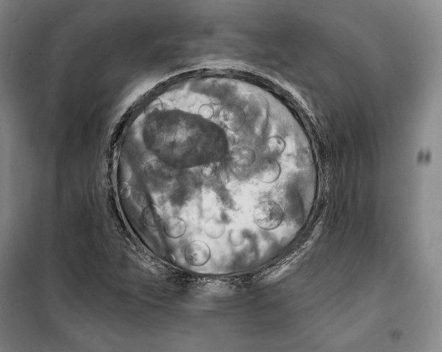 X0000099451263200806061057