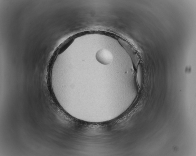 X0000099451264200806061057