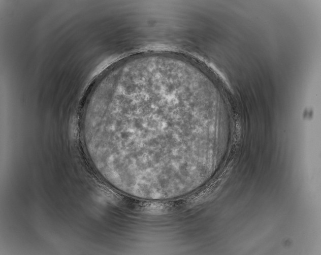 X0000099451266200806061057