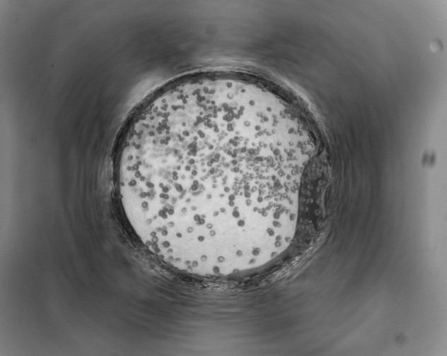 X0000099451267200806061057