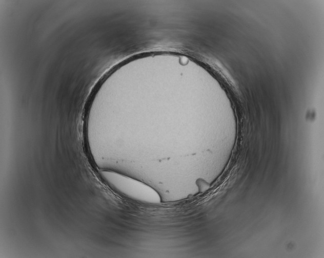 X0000099451268200806061057