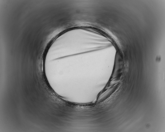 X0000099451269200806061057