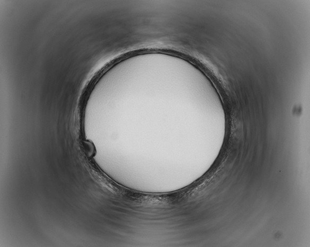 X0000099451270200806061057