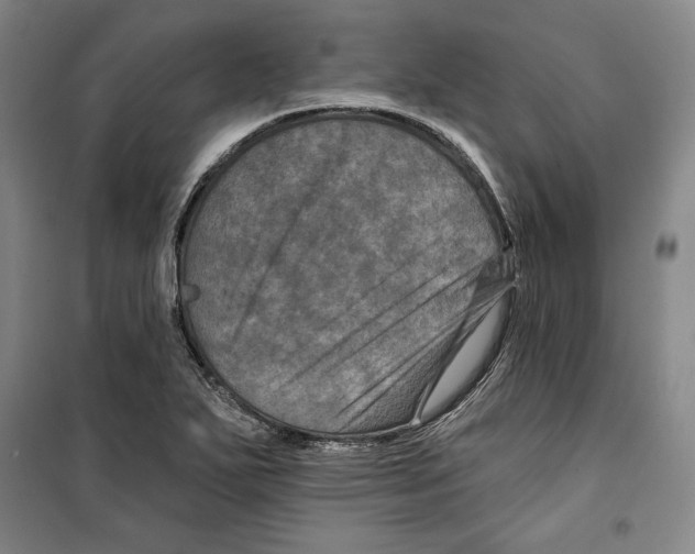 X0000099451271200806061057