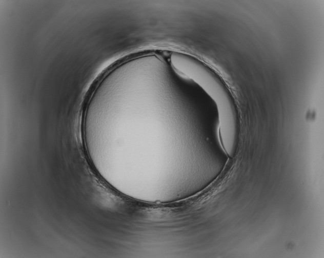 X0000099451272200806061057