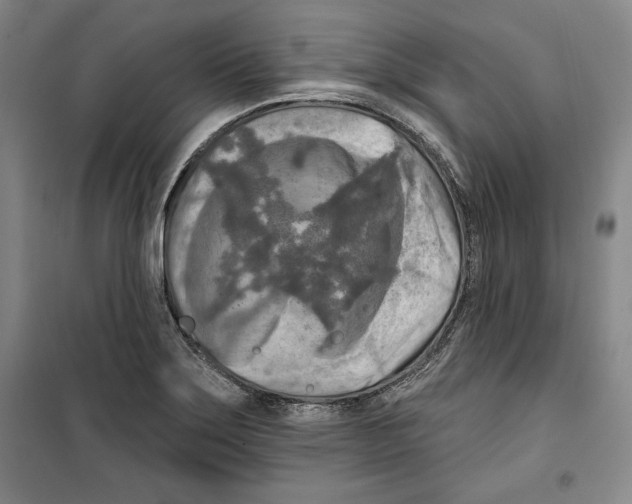 X0000099451275200806061057