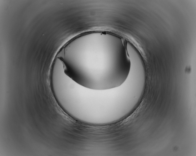 X0000099451276200806061057