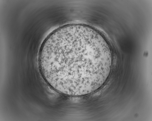 X0000099451278200806061057