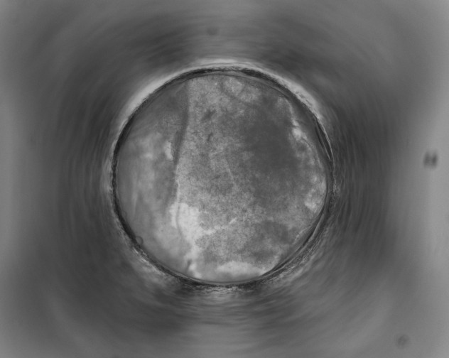 X0000099451279200806061057