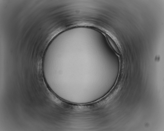 X0000099451281200806061057