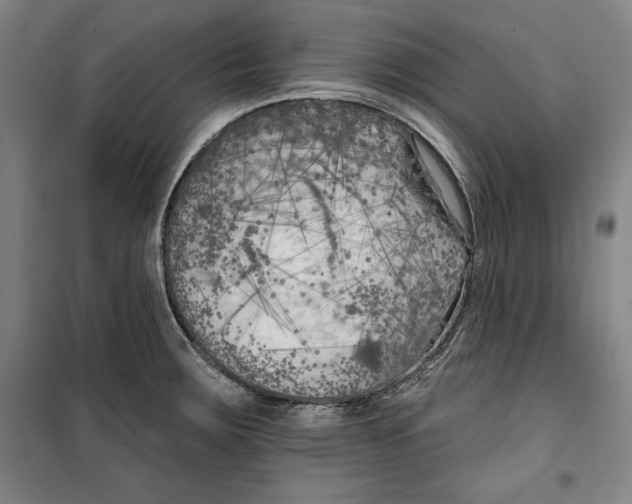 X0000099451283200806061057