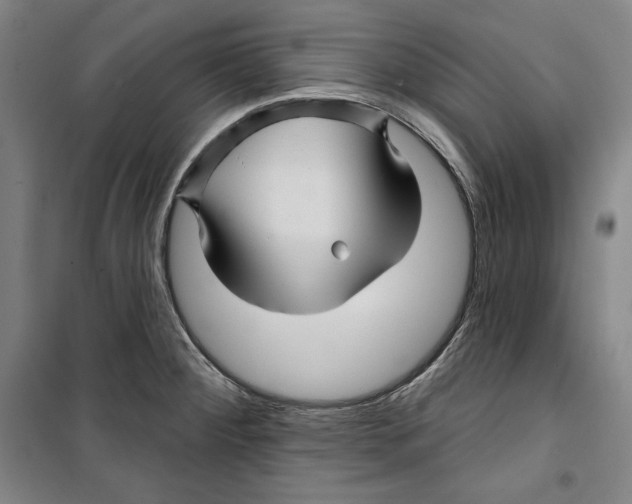 X0000099451284200806061057