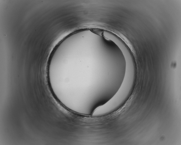 X0000099451285200806061057