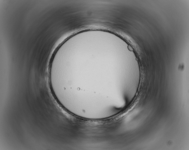 X0000099451286200806061057