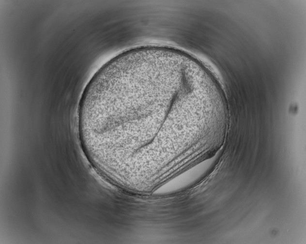 X0000099451287200806061057