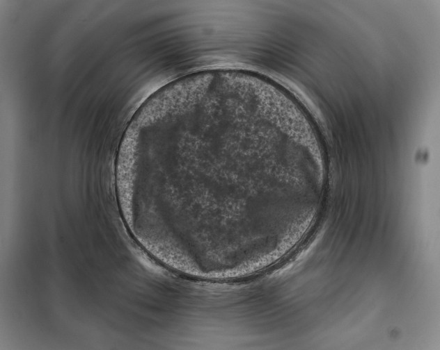 X0000099451289200806061057