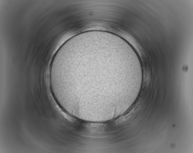 X0000099451290200806061057