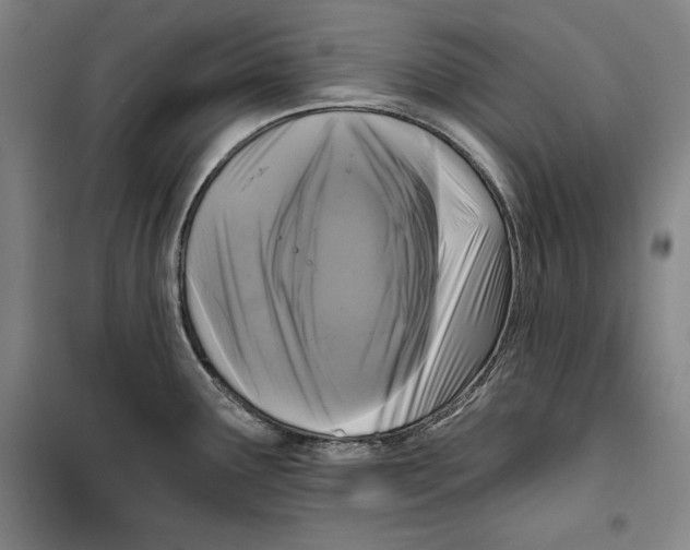 X0000099451291200806061057