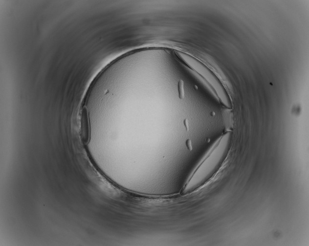 X0000099451292200806061057