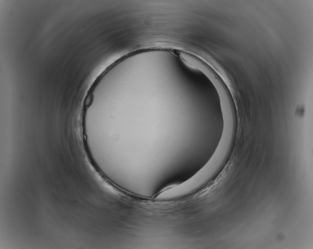 X0000099451293200806061057